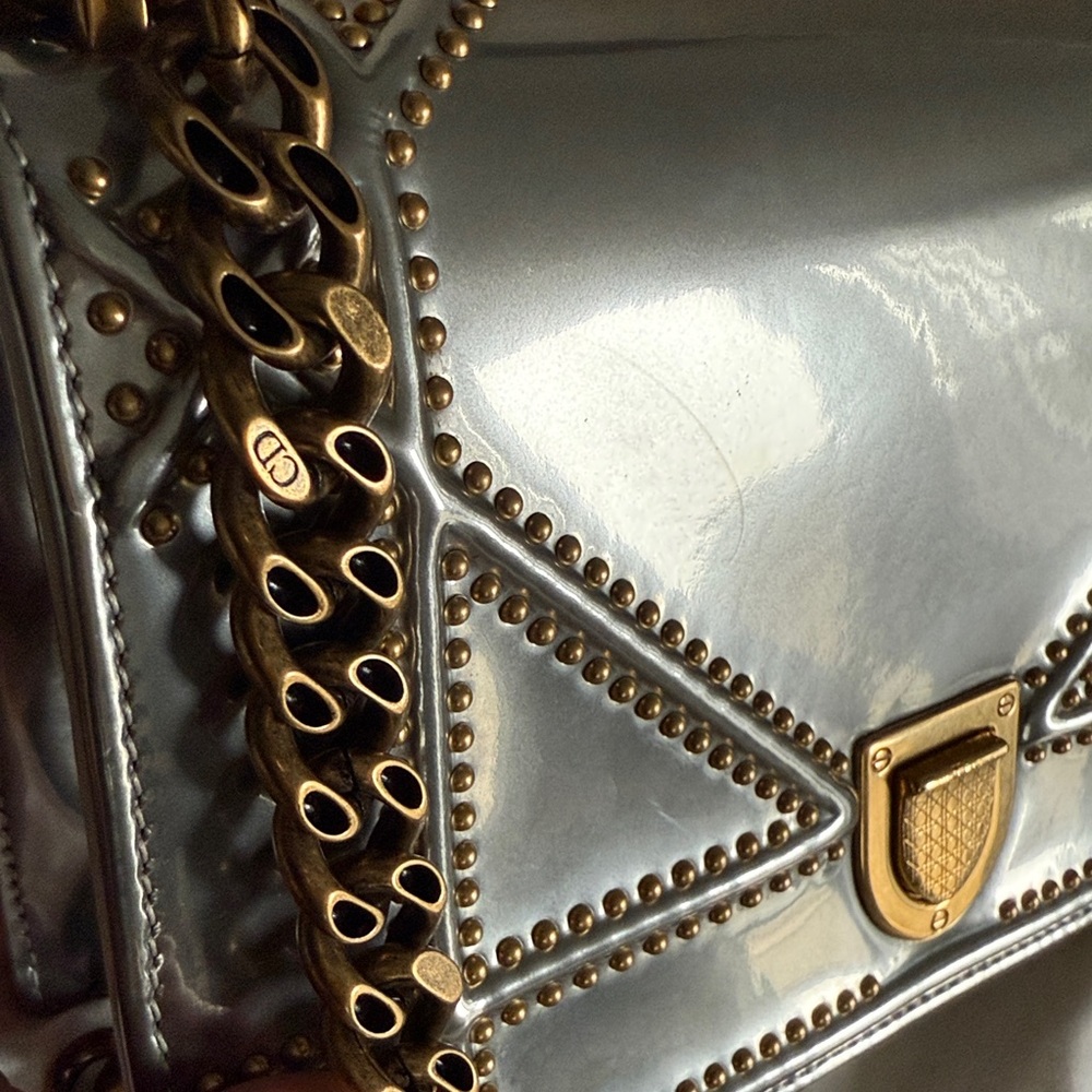 Diorama Calfskin Bag - Picture 8 of 12